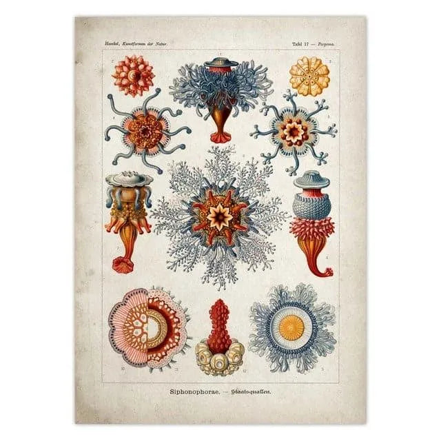 Vintage Jellyfish and Seaweed Marine Wall Art Poster Collection Red