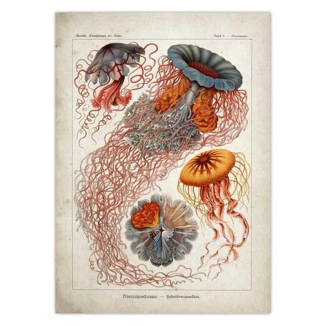 Vintage Jellyfish and Seaweed Marine Wall Art Poster Collection Purple