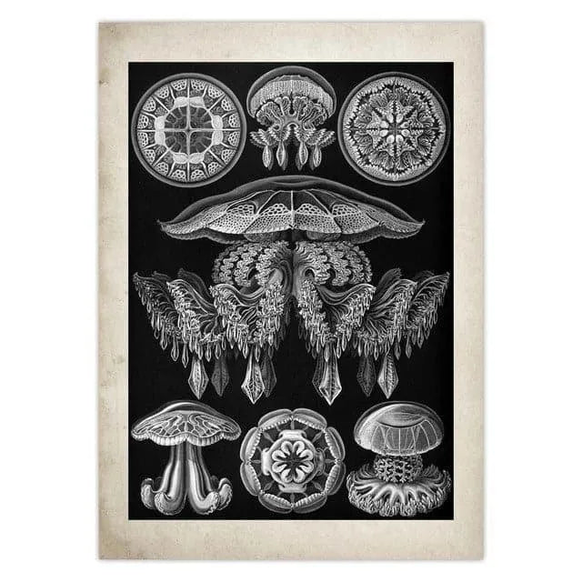 Vintage Jellyfish and Seaweed Marine Wall Art Poster Collection Army Green