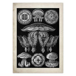 Vintage Jellyfish and Seaweed Marine Wall Art Poster Collection Army Green