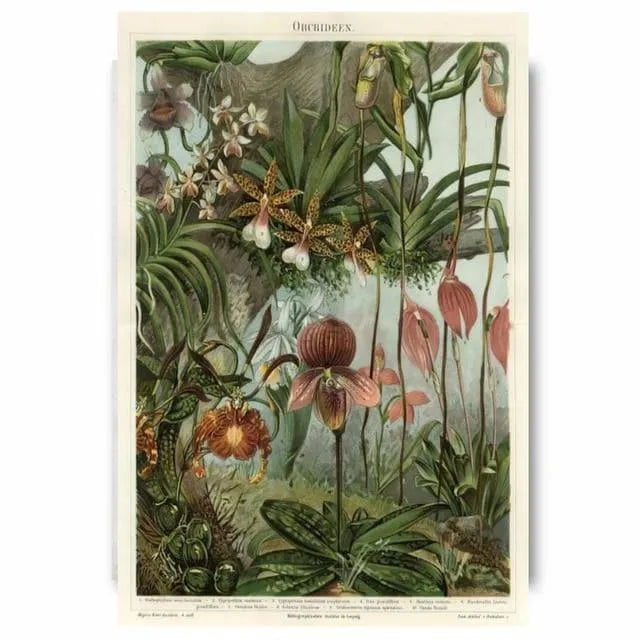 Vintage Palm Trees Botanical Wall Art Canvas Poster