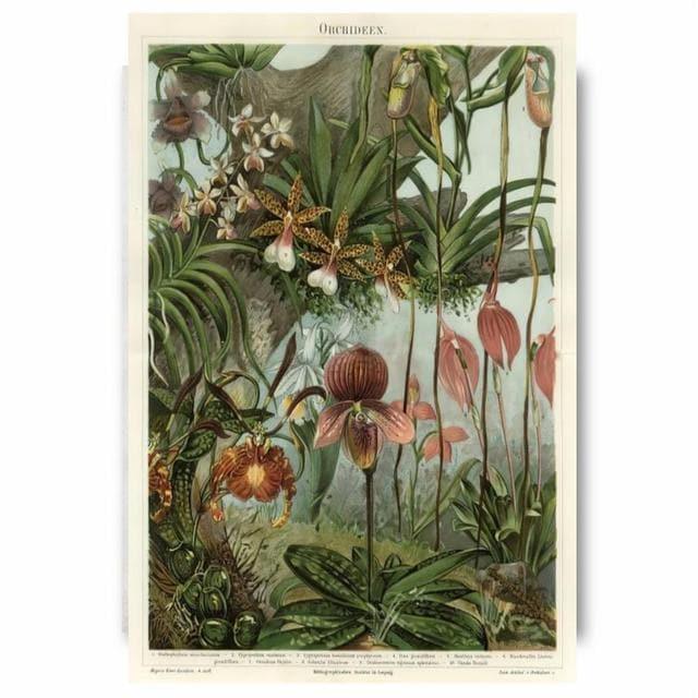Vintage Palm Trees Botanical Wall Art Canvas Poster 