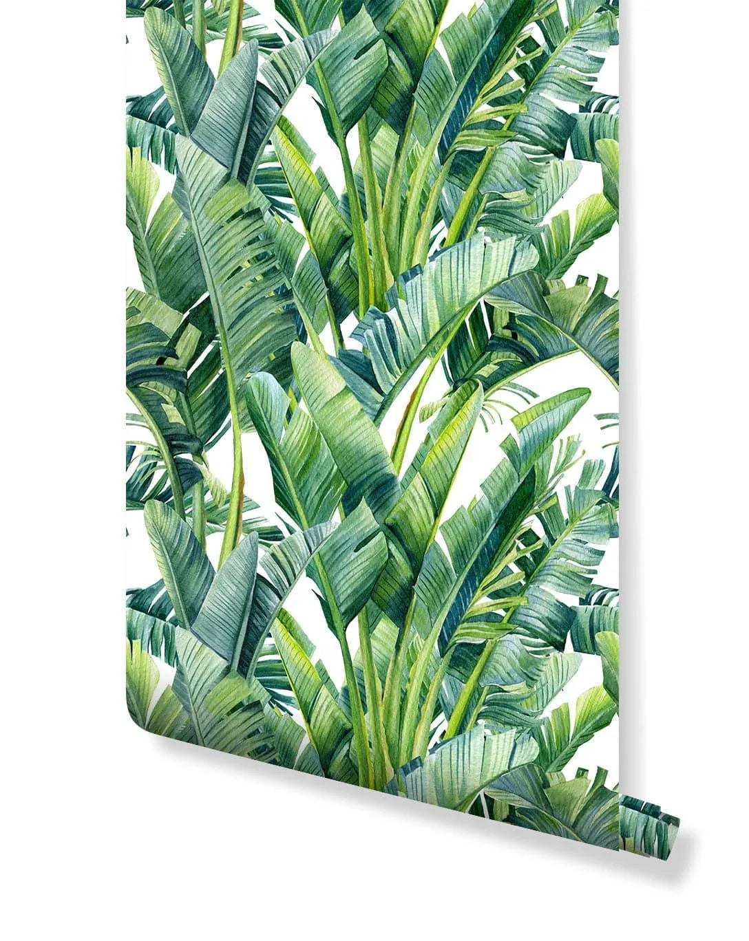 Watercolor Green Tropical Palm Banana Leaves Wallpaper