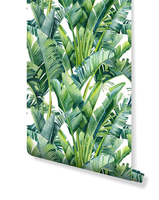 Watercolor Green Tropical Palm Banana Leaves Wallpaper Watercolor Green Tropical Palm Banana Leaves Wallpaper 