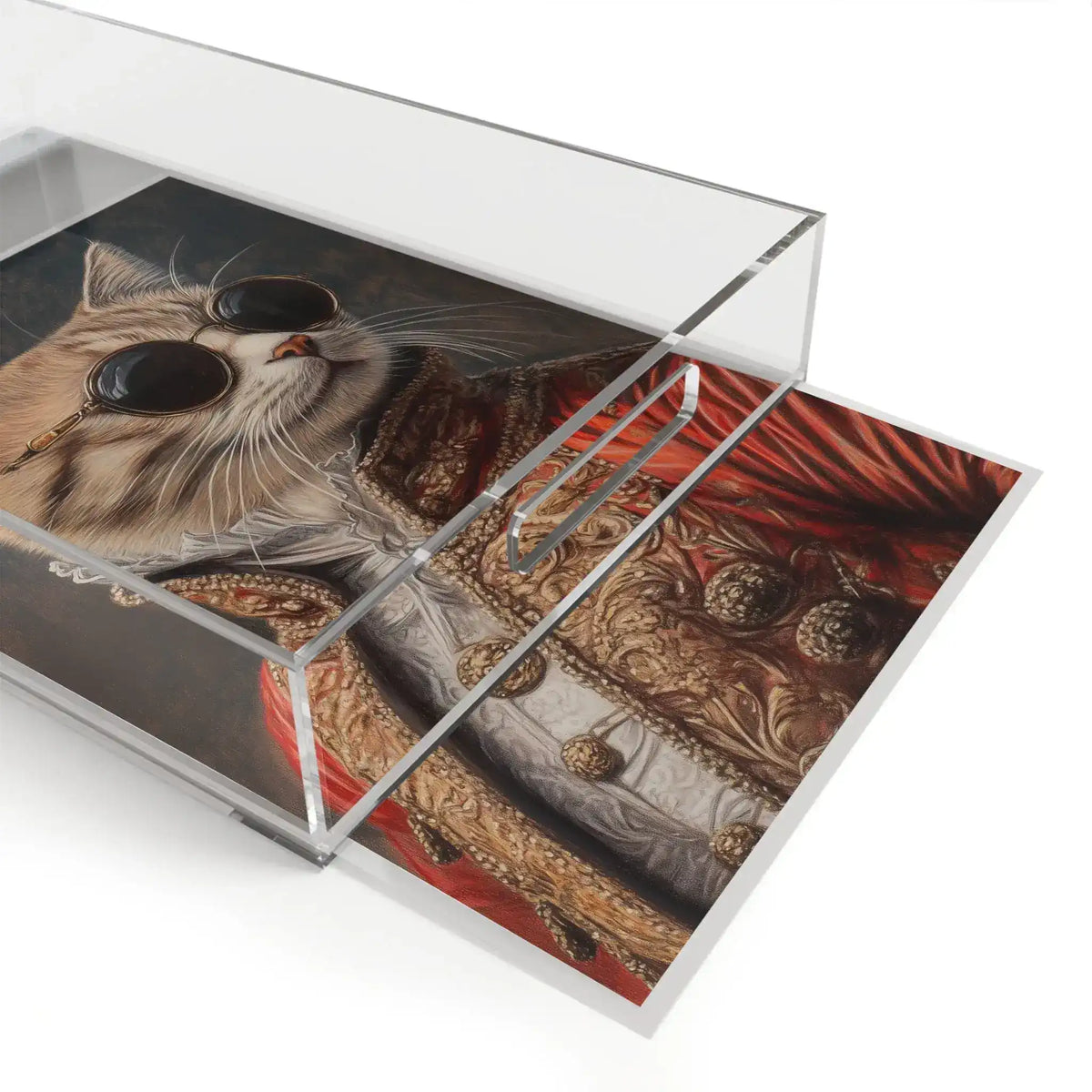 clear acrylic tray angled close-up showing frame handles and cat portrait artwork with red draped fabric detail