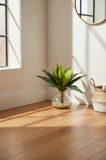 A green leafy plant in a clear glass vase filled with pebbles, placed on a light wood floor in a sunlit room corner with cream walls and a woven basket nearby.