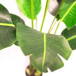 Artificial Banana Leaf Tree in Pot - 5 ft