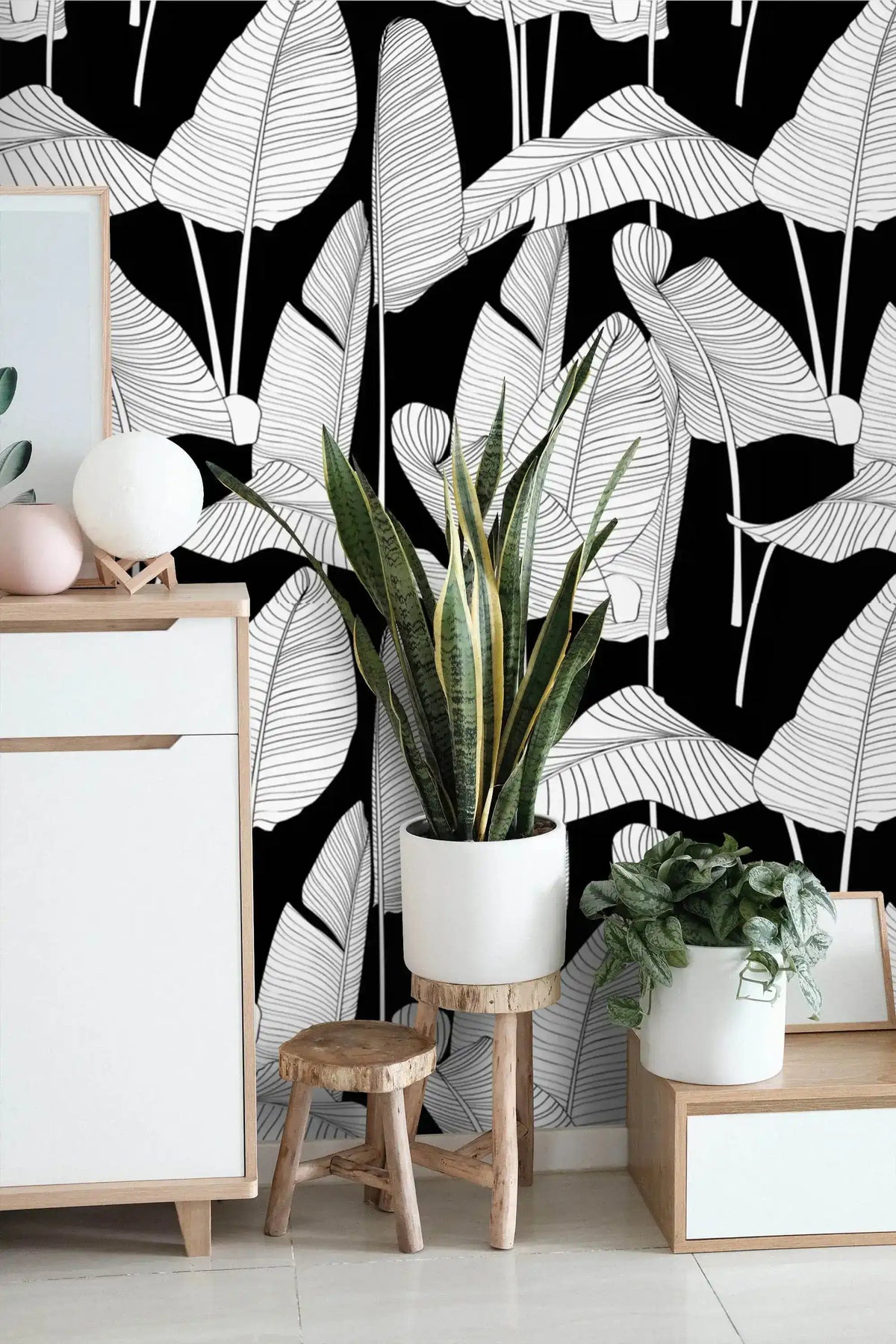 Banana leaf wallpaper with white leaves on black behind a wood dresser with potted snake plant and green foliage