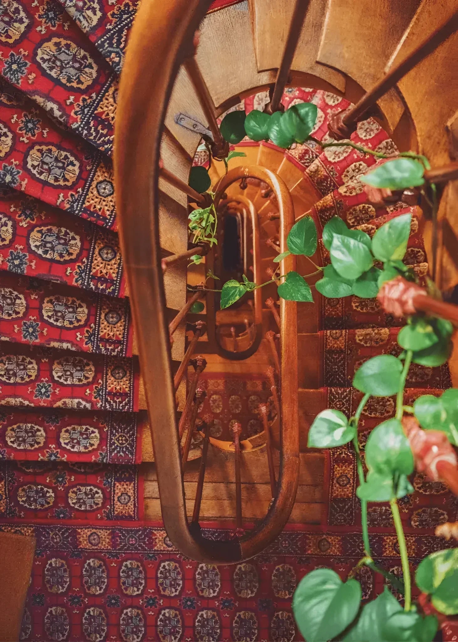A stunning aerial view of a spiral staircase adorned with an intricate area rug featuring a rich red and blue pattern. Lush green plants add a touch of nature to the elegant wooden banister, creating a harmonious blend of textures and colors.