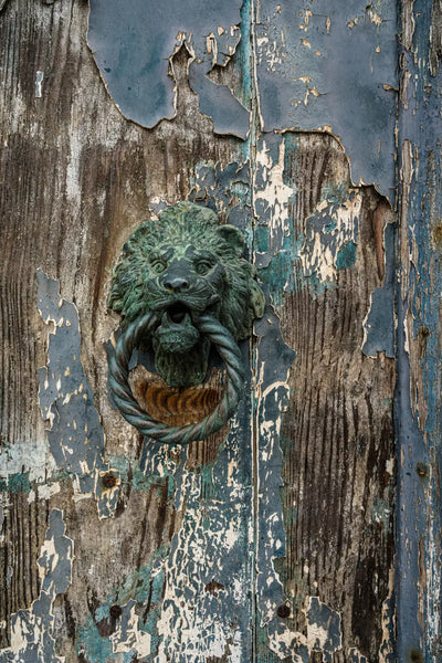 Non Lacquered Brass Door Knocker Lion Face