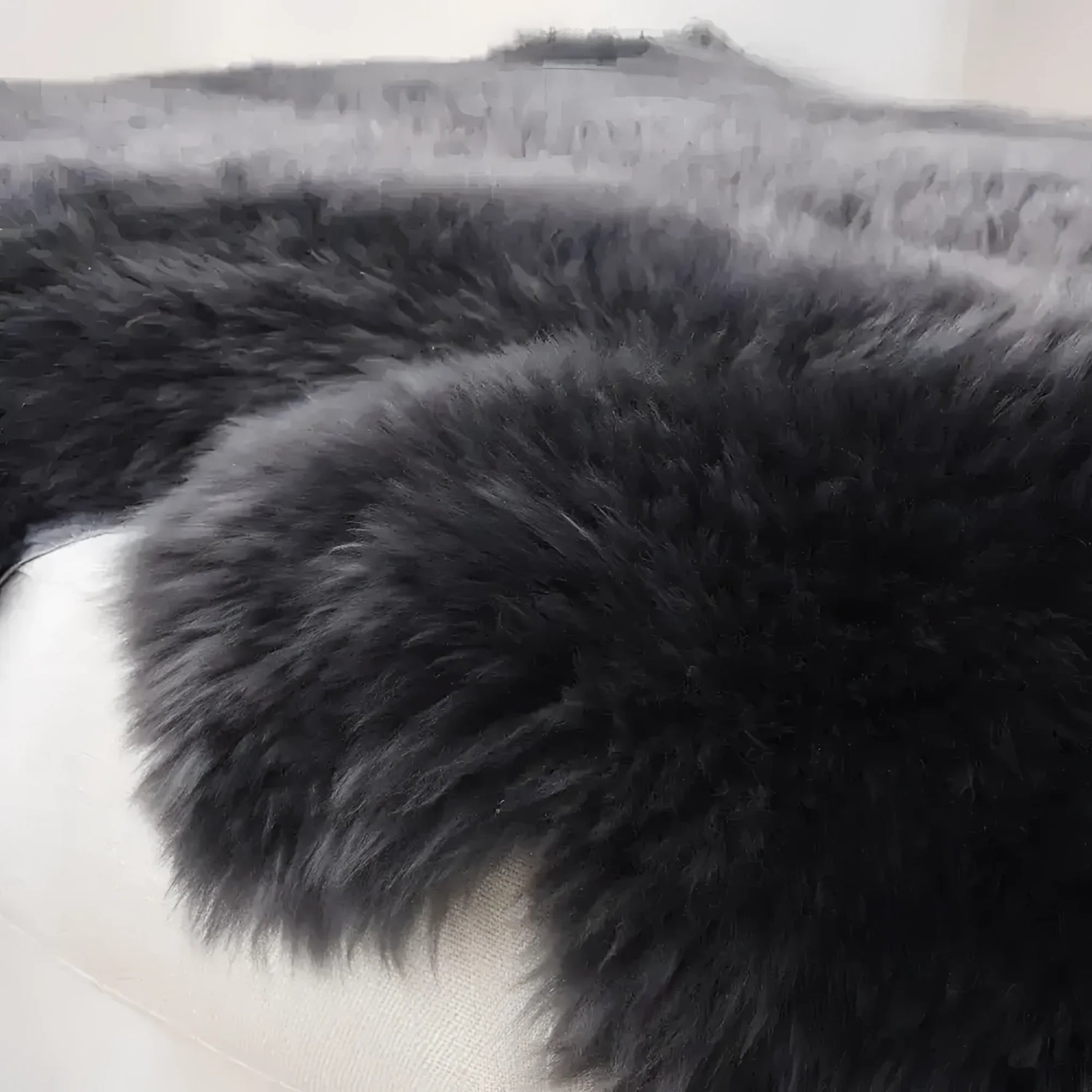 Black Soft Texture Shaggy Natural Fur Sheepskin Area Rug - 1001 KNOTS