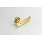Brass Shell Wall Organizing Hook