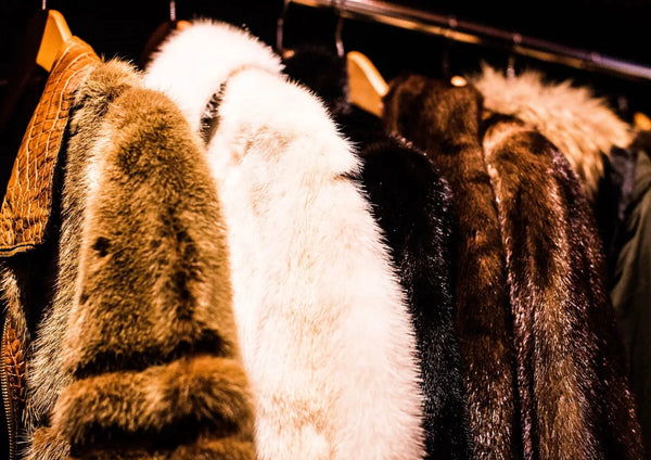 How to Differentiate Faux Fur From Genuine Fur Maia Homes