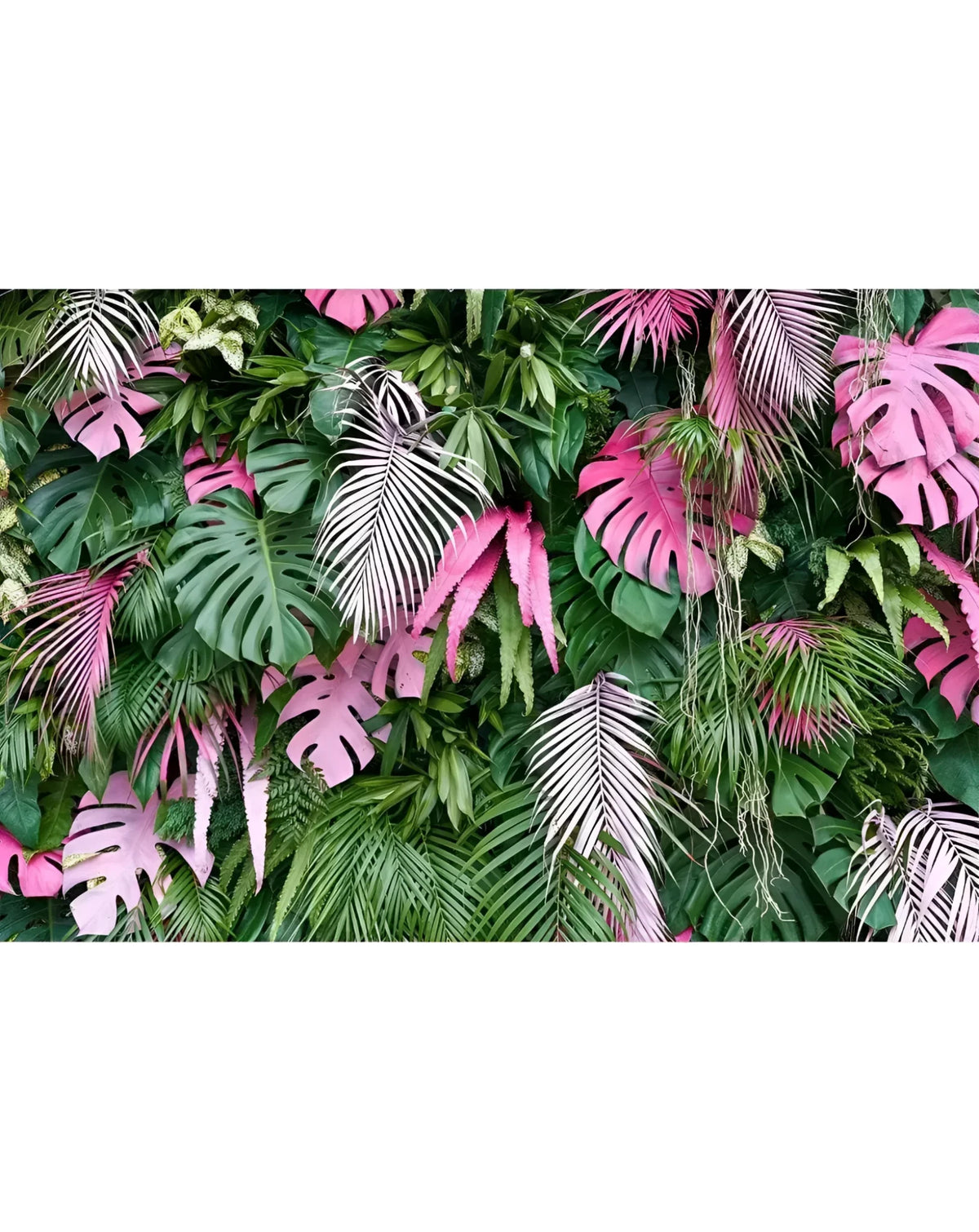 Colorful Tropical Palm Leaves Wall Mural