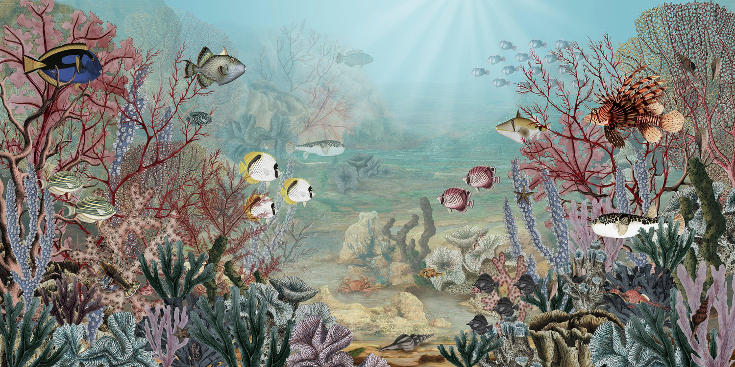 Coral Creatures Wallpaper Mural