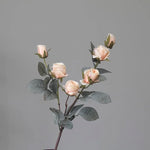 Country Blossoming Roses Stem - Pack of 2 Champagne