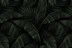 Dramatic Dark Tropical Palm and Banana Leaves Wallpaper - II