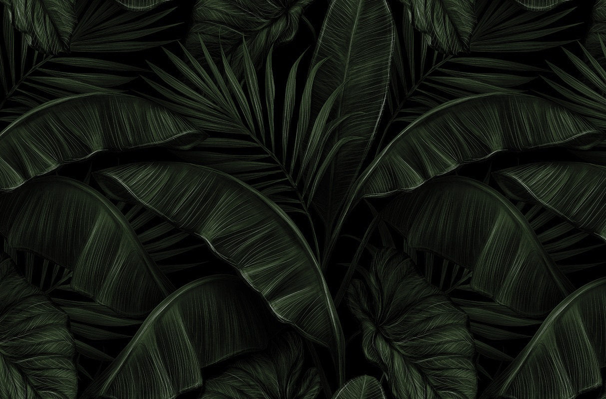 Dramatic dark tropical palm and banana leaves wallpaper can create a bold and sophisticated look in a room. The dark background adds a sense of mystery and depth to the tropical leaf pattern, creating a dramatic and impactful effect. This type of wallpaper is perfect for adding a touch of exotic elegance to a space, and it can work well in both modern and traditional settings.