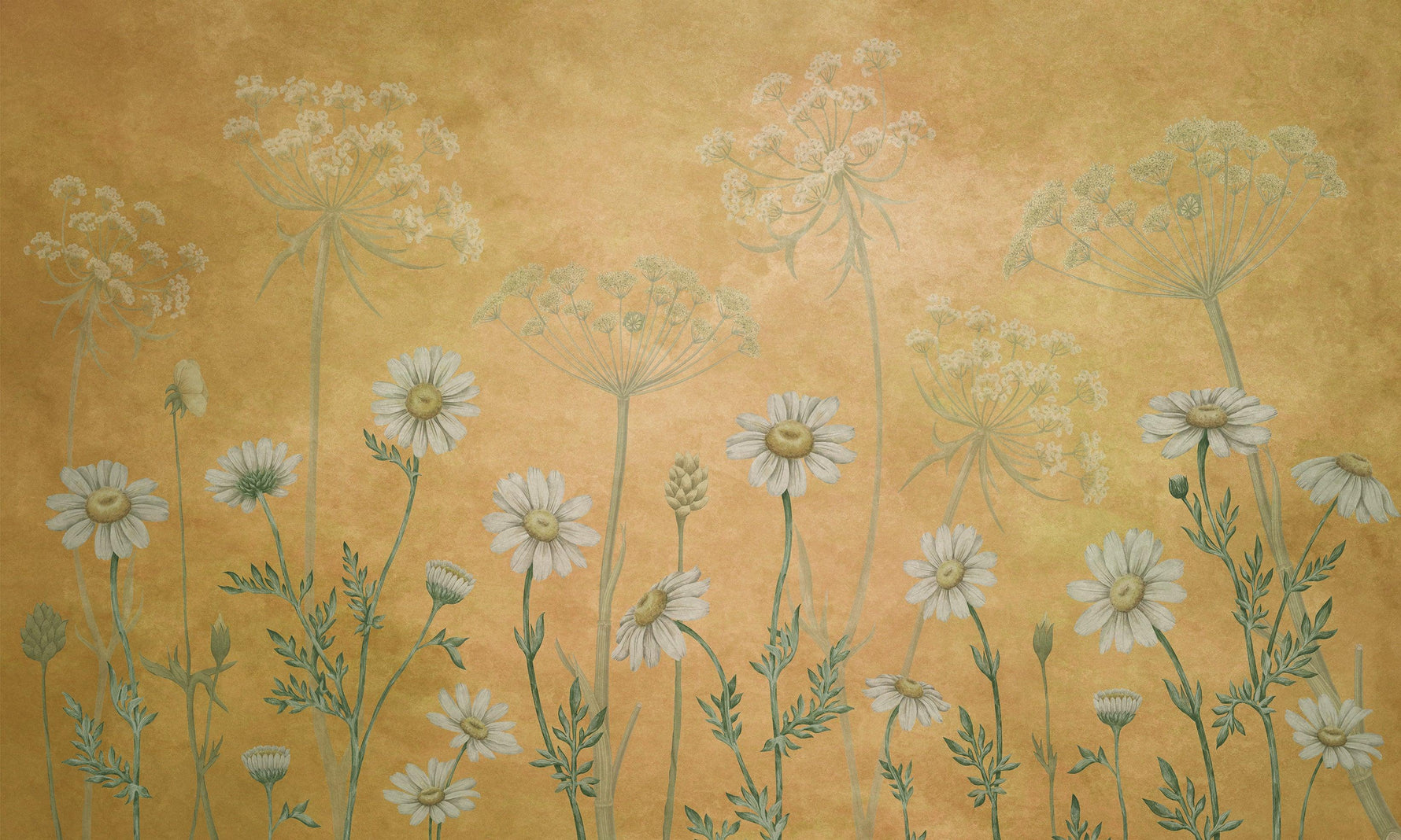 Dazzling Daisies - Yellow Wallpaper Mural