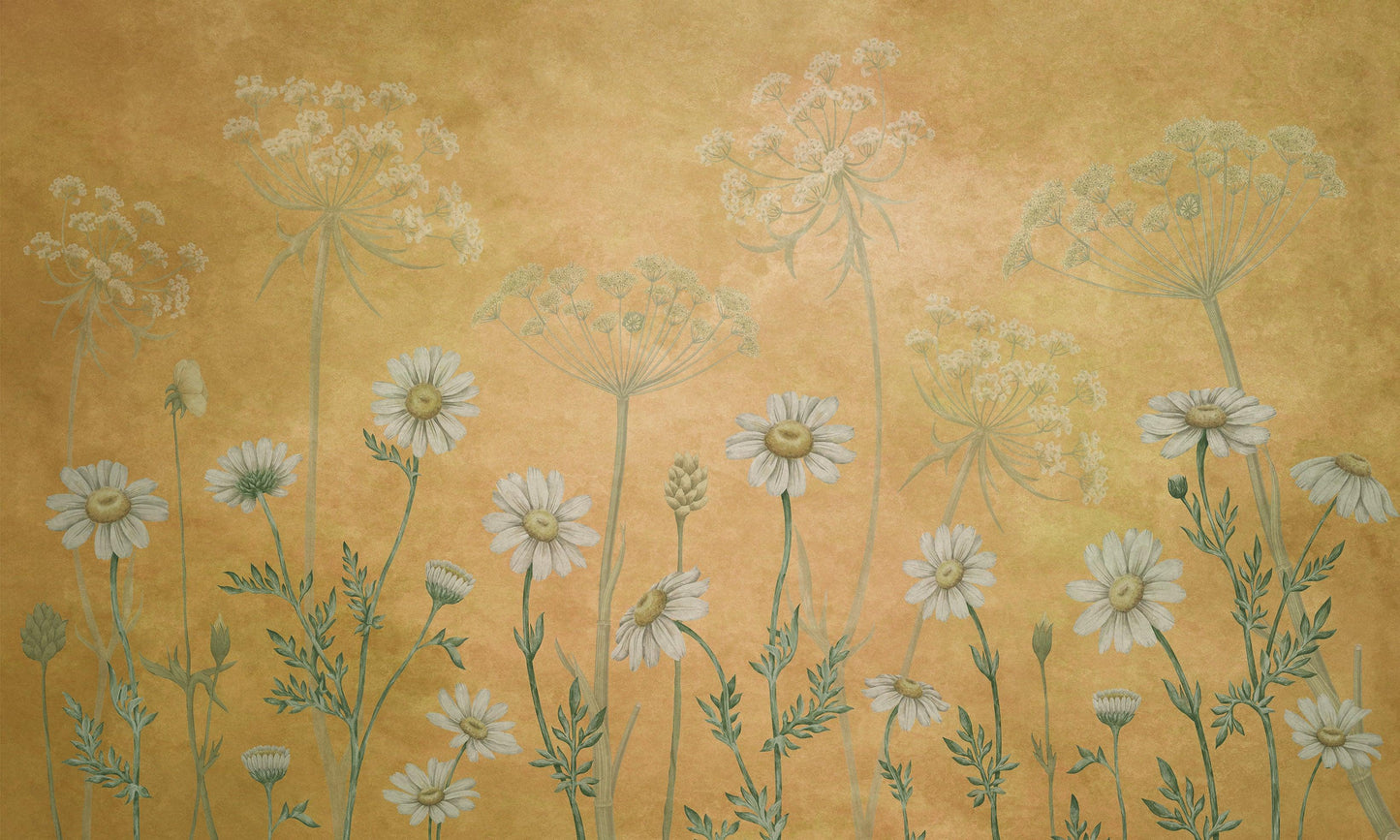 Dazzling Daisies - Yellow Wallpaper Mural - MAIA HOMES