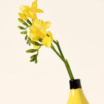 Decorative Banana Shaped Vase