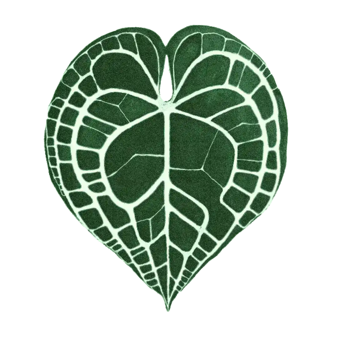 A uniquely designed elephant ear shaped hand tufted wool area rug, perfect for adding a natural touch to your bedroom or dining room. This round rug features an intricate pattern resembling an elephant ear leaf, ideal for those seeking stylish rugs for the bedroom or dining room area rugs.