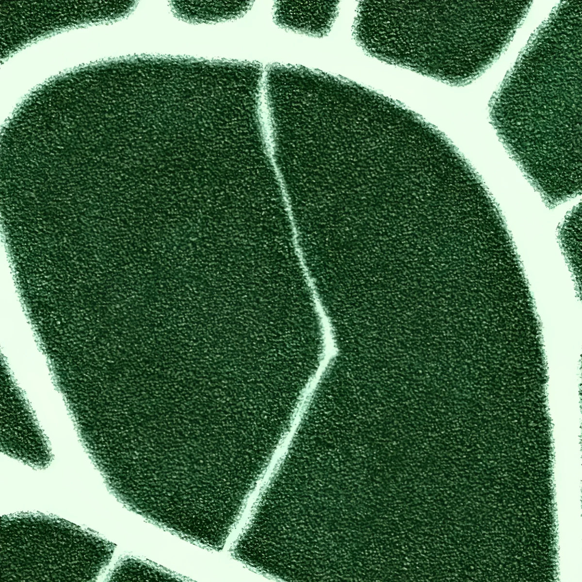 Close-up of an Elephant Ear Shaped Hand Tufted Wool Rug, featuring a rich green color with intricate white vein-like patterns. Ideal as an area rug for bedrooms or dining rooms, adding a touch of nature-inspired elegance to your space.