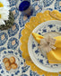 Bright Meadow Placemats