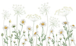 Field of Daisies Wallpaper Mural