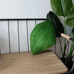 For the Love of Monstera Leaf Decorative Throw Pillow - MAIA HOMES