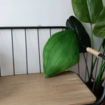 For the Love of Monstera Leaf Decorative Throw Pillow - MAIA HOMES