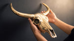 Brass Buffalo Skull Wall Decor
