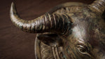 Solid Brass Buffalo Door Knocker