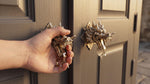 Solid Brass Dragon Head Door Knob