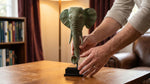 Bronze Elephant Bust