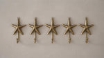 Solid Brass Starfish Wall Hook