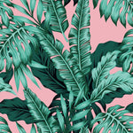 Large Green Tropical Monstera on Pink Wallpaper