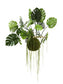 Large Hanging Monstera Plant with Moss Ball - MAIA HOMES