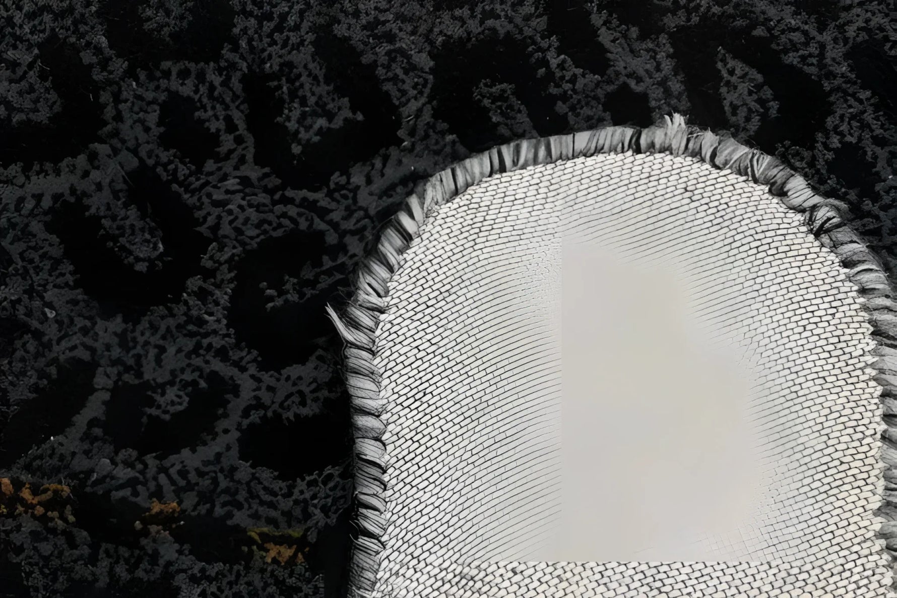 Close-up view of the Little Black Leopard Hand Tufted Wool Rug showcasing its intricate texture and durable backing, perfect for enhancing living room decor. This large area rug, crafted from high-quality wool, adds a touch of elegance to any living room space.