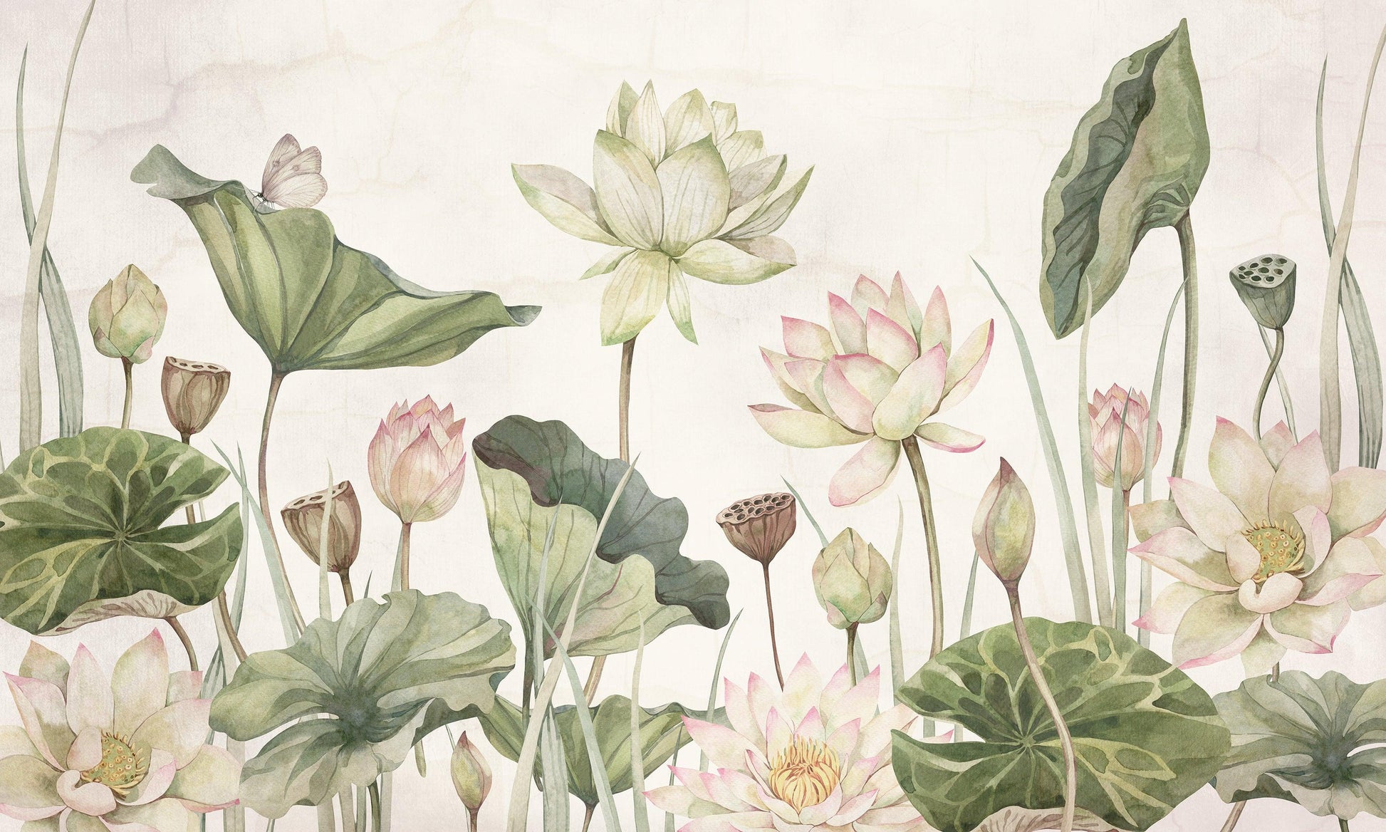 Lovely Water Lilies Wallpaper Mural - MAIA HOMES