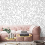 Minimalist Abstract Lines Wallpaper Mural