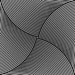 This image showcases the Noir Horizon Illusion Square Hand Tufted Wool Rug, a contemporary square area rug perfect for any living room. The rug features a striking black and white geometric pattern with curved lines creating a mesmerizing illusion, making it an ideal choice for those seeking large area rugs that blend modern design with the classic appeal of wool. A perfect addition to your home decor for a stylish and cozy atmosphere.