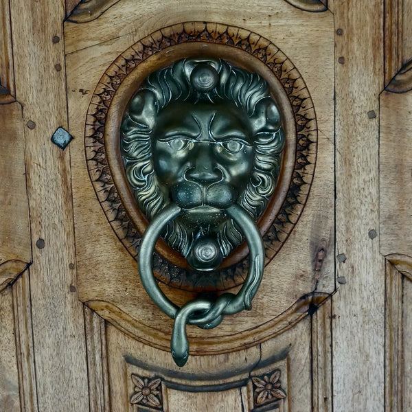 Paint Covered Brass Door Knocker Lion Face Hand Crafted