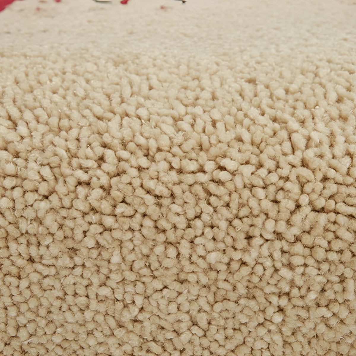 Close-up of beige carpet texture