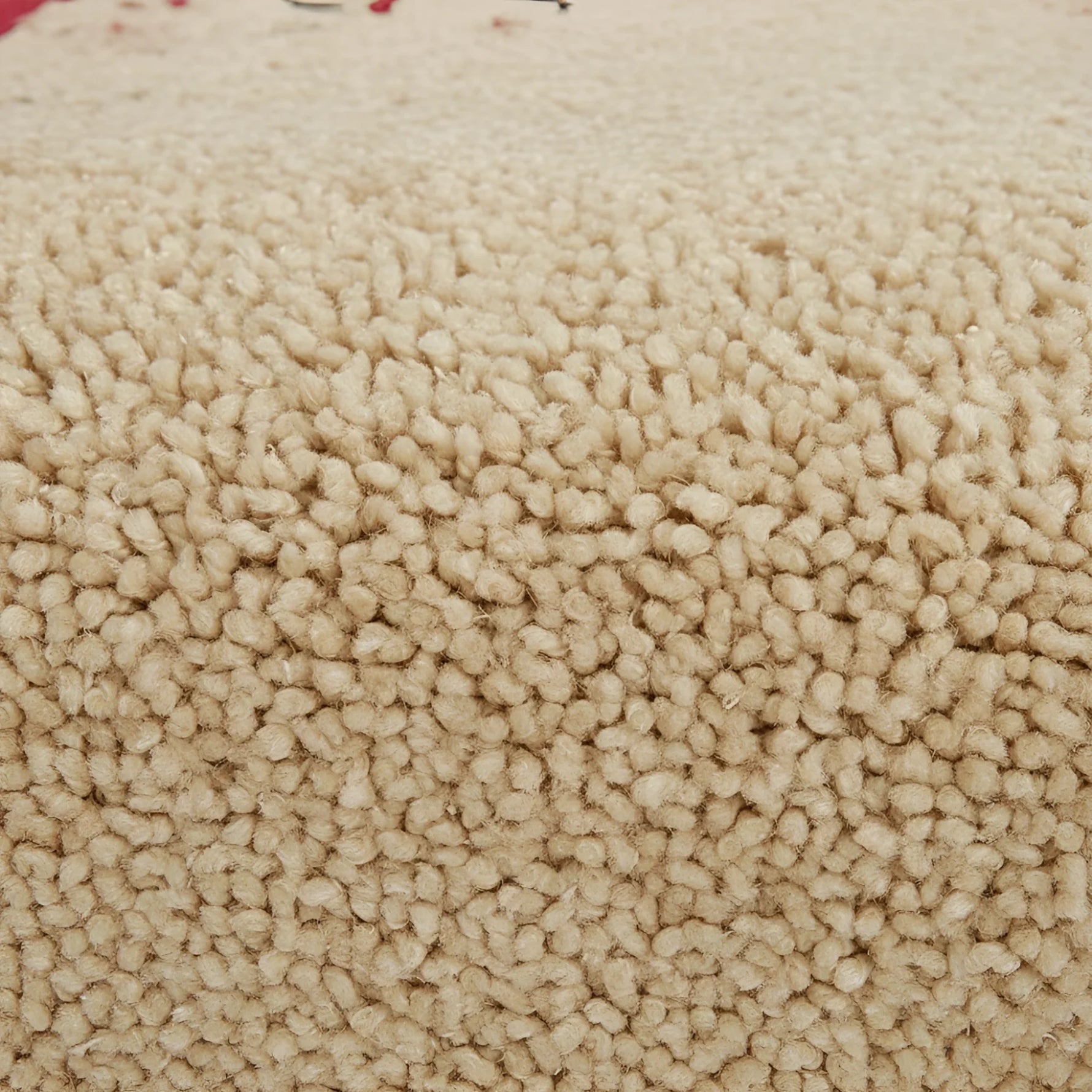 Close-up of beige carpet texture
