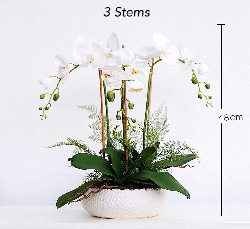 Real Touch 3 Stems White Phalaenopsis Arrangement in a White Ceramic Pot 