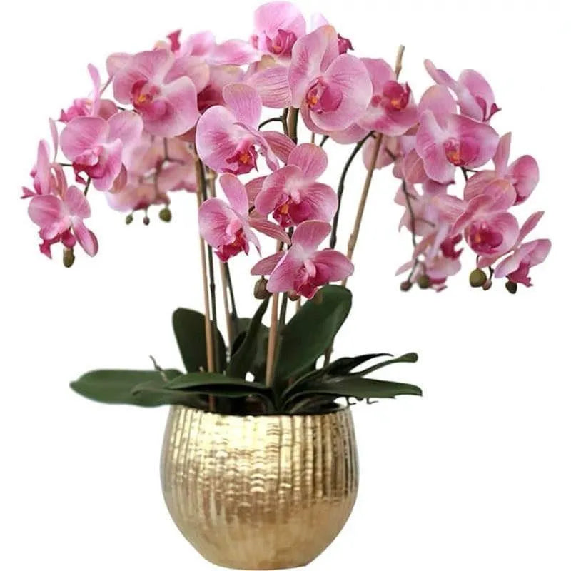 Real Touch Luxury 5 stems Pink Phalaenopsis Arrangement in Golden Pot