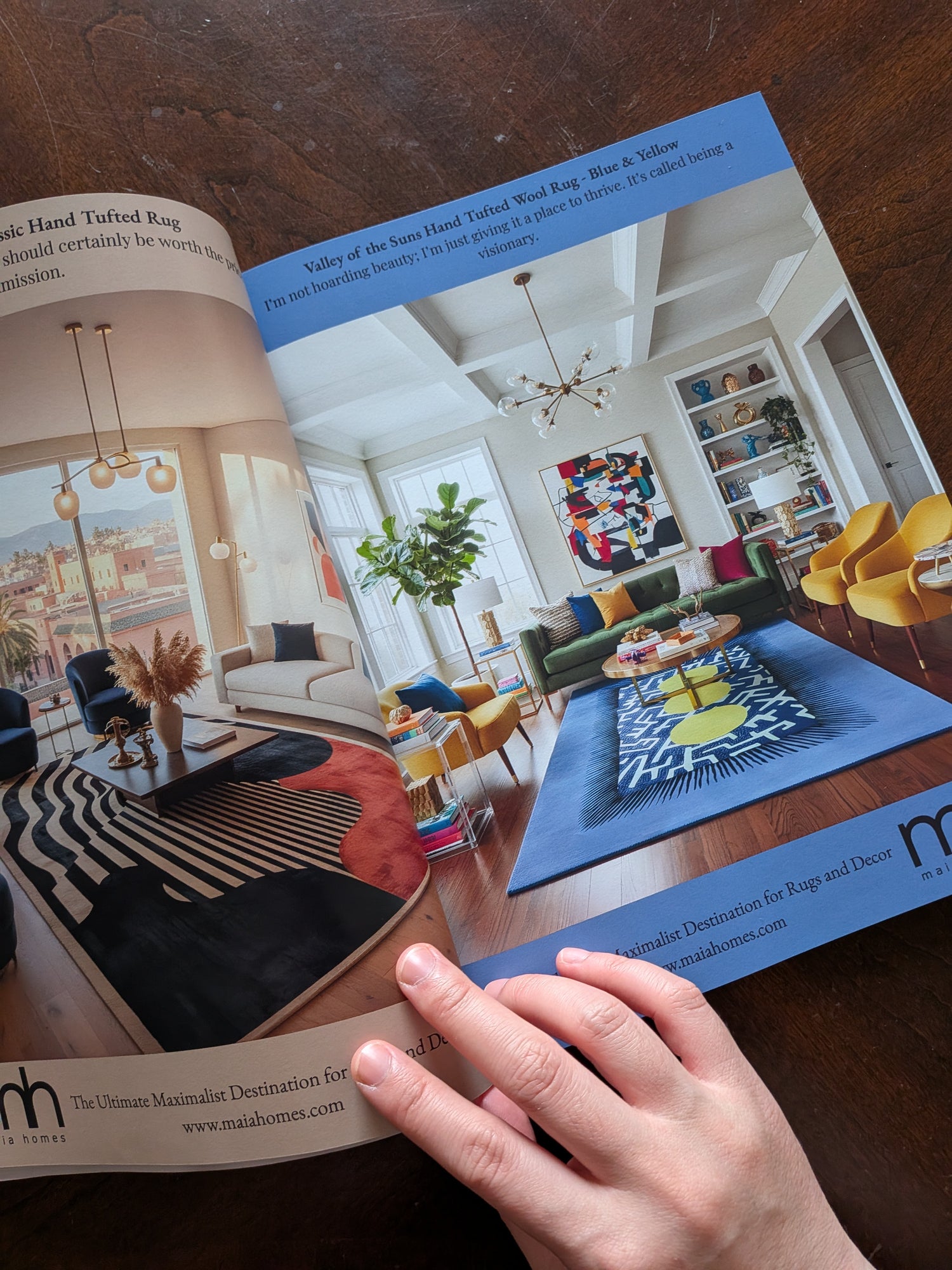 Maximalist Interior Inspiration Book