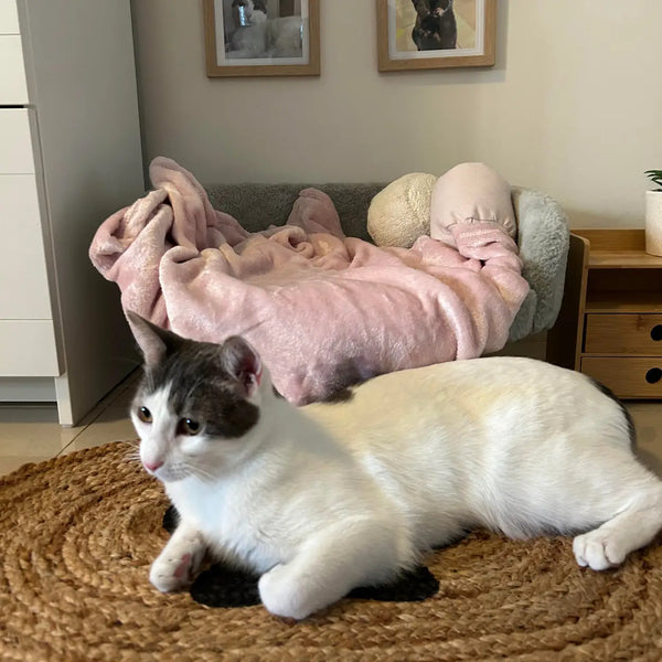 jute rug