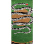 Vibrant round wool area rug featuring a striking snake and apple design in green and gold tones, perfect for enhancing dining room decor. This large area rug is ideal for formal dining rooms, adding a unique touch with its bold pattern.